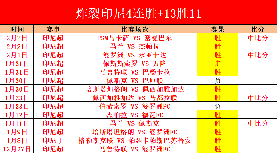 埃姆雷詹繼,任多特領袖,沙欣證實科,太阳城,太阳城娱乐,太阳城app,太阳城赌场